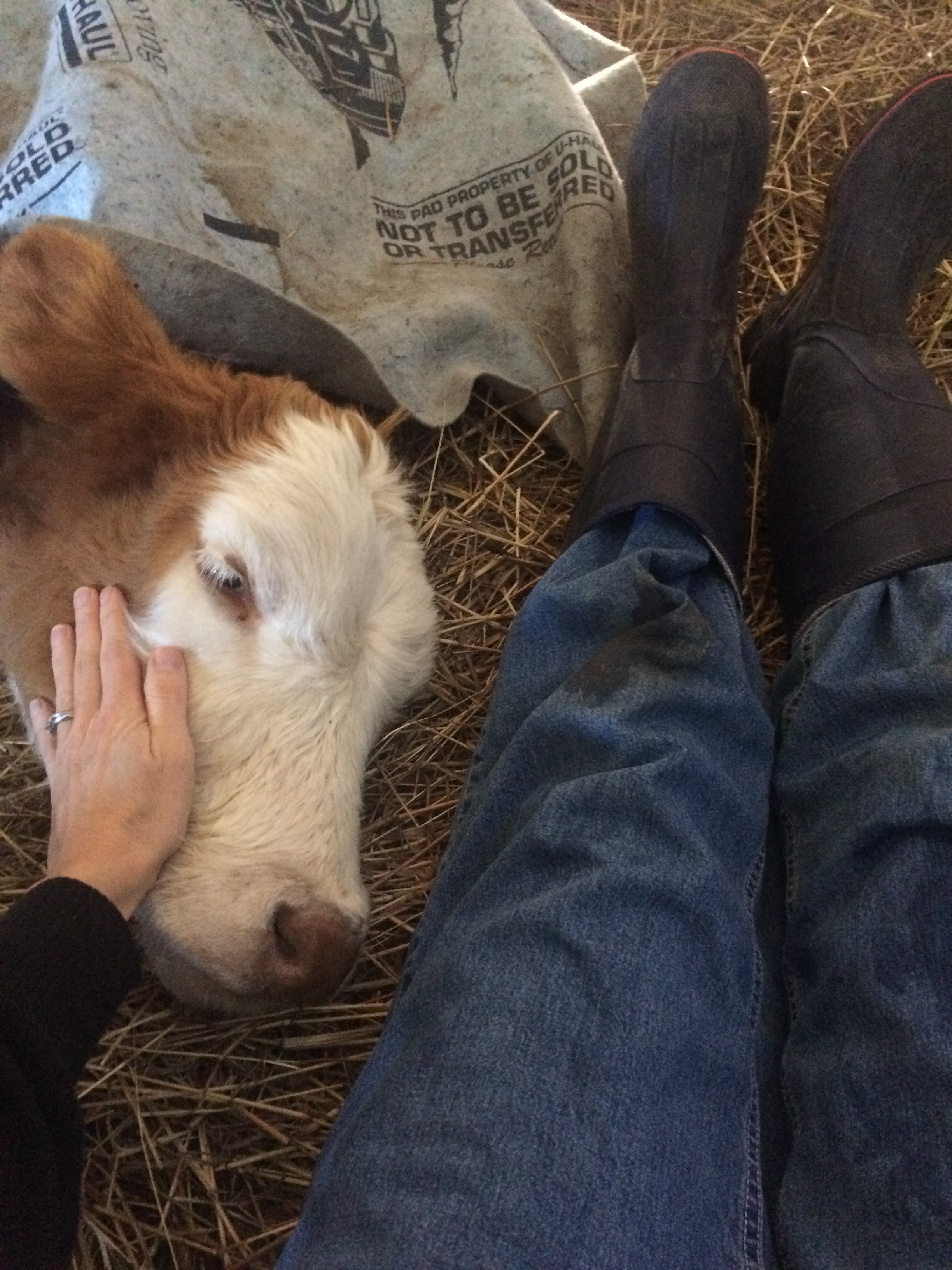 57005858981__C78735B7-CD50-4E3F-9954-11C6B8B9C354